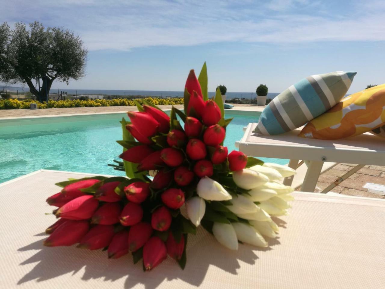 B&B Giglio Marino Salve Exteriér fotografie